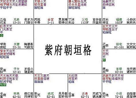 紫微斗數富貴格局|【紫微鬥數富貴格局】紫微鬥數藏不住的富貴密碼！34個富貴命格。